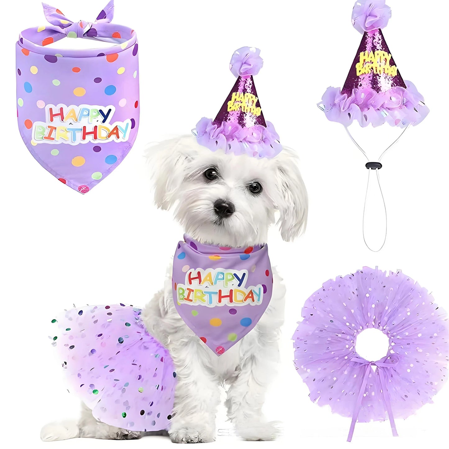 Pet Birthday Costume Set