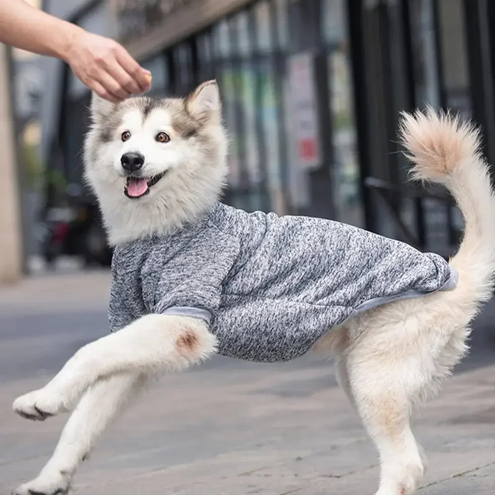 3XL-9XL Big Dog Warm Winter Jacket