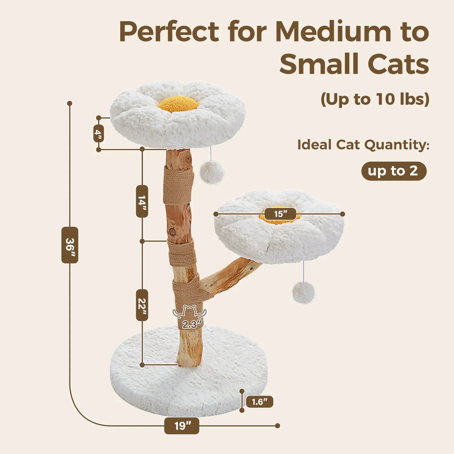 Solid Wood Cat Tree