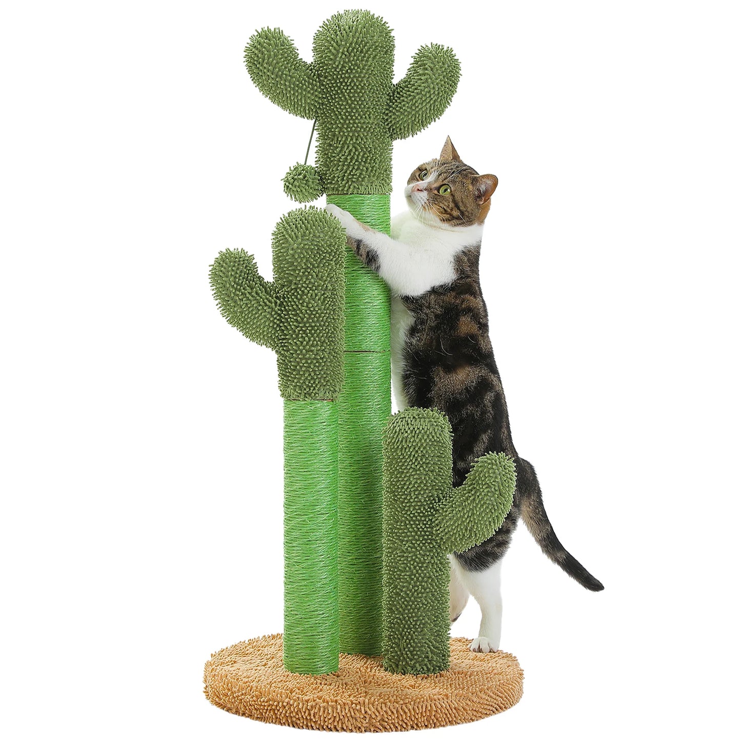 Cactus Cat Scratching Post