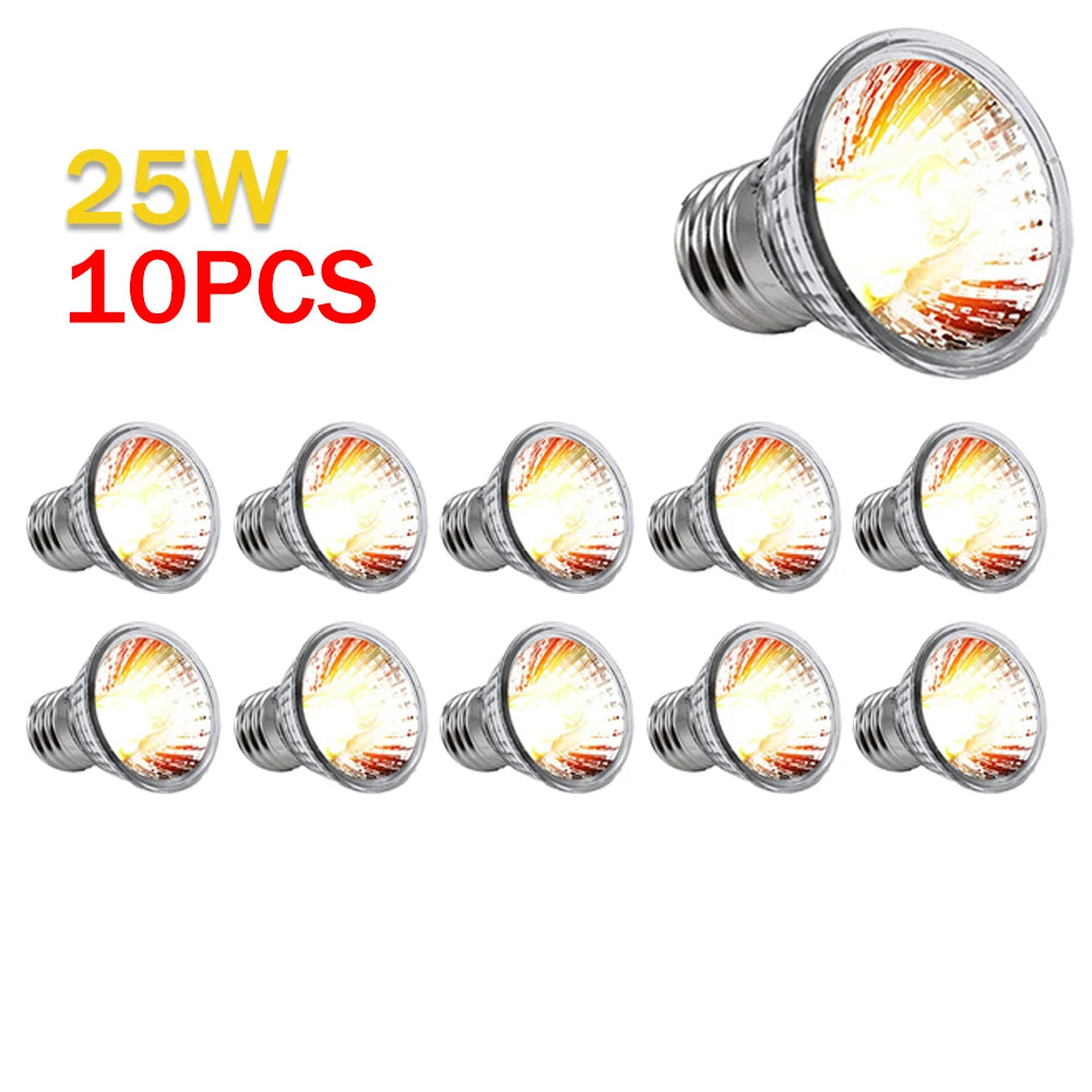 Reptile /Amphibian Heating Lamp