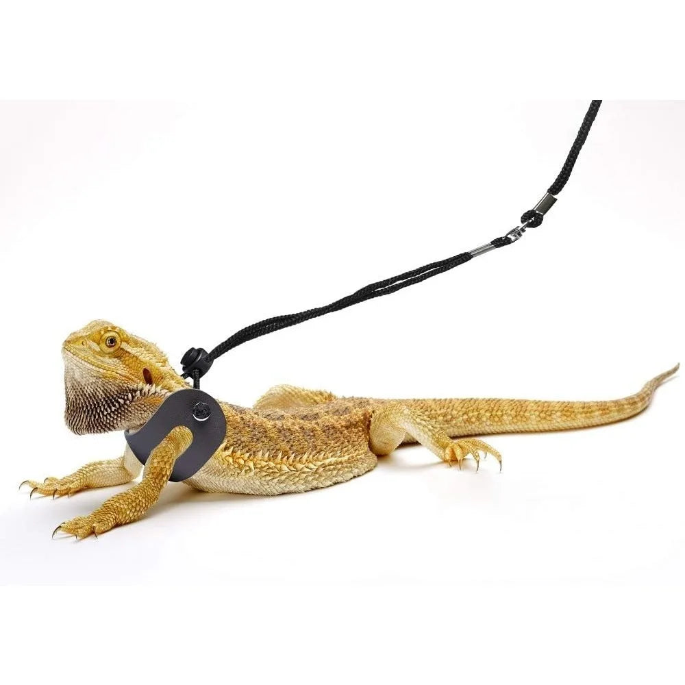 Leash for Amphibians and Other Small Reptiles