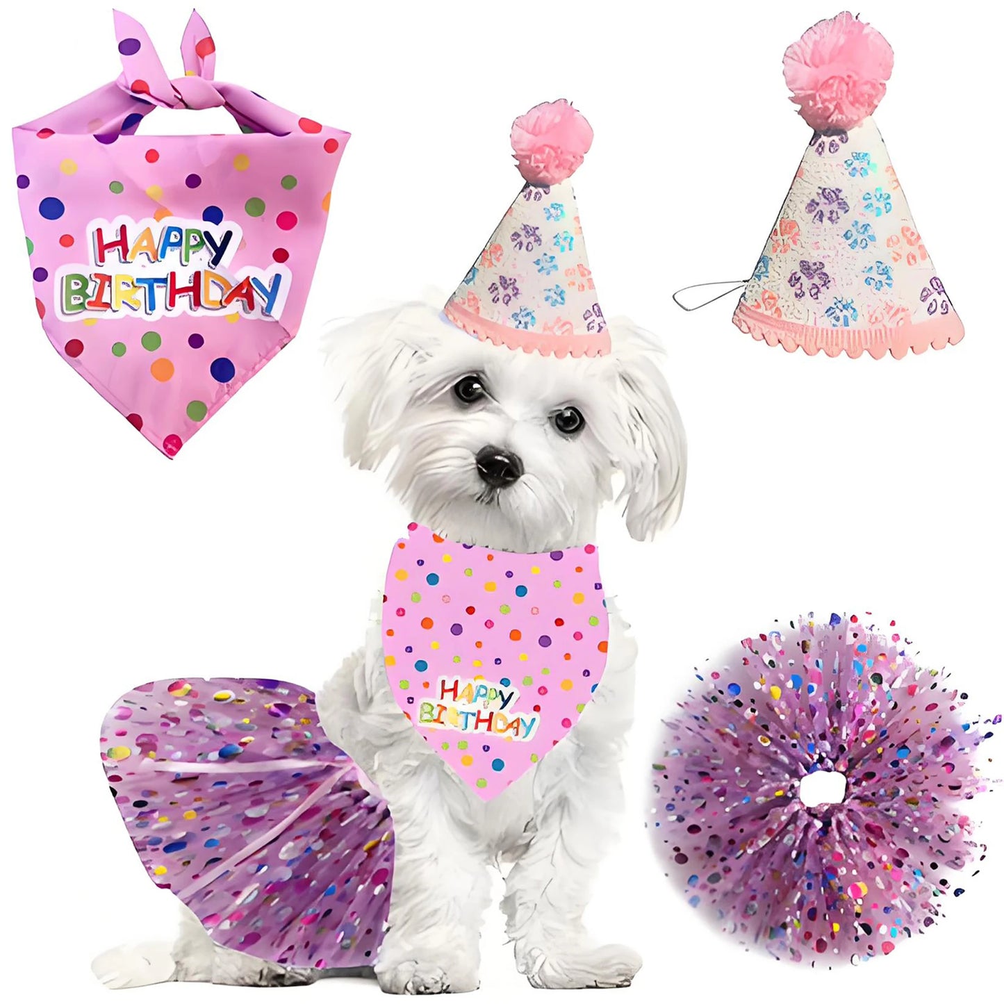 Pet Birthday Costume Set