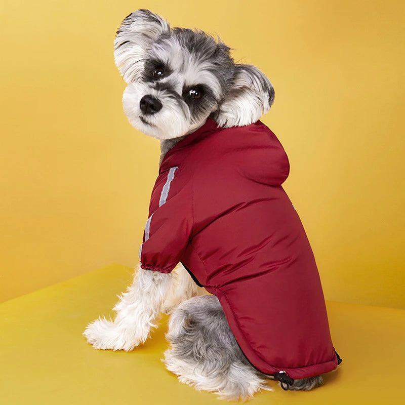 Winter Dog Clothing, Hooded