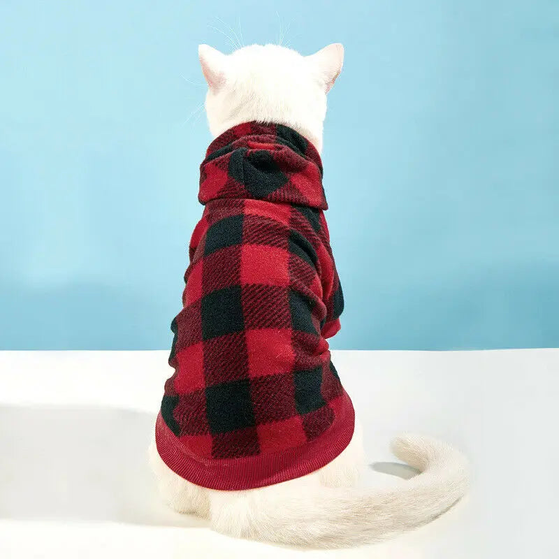 Plaid Cat Sweater