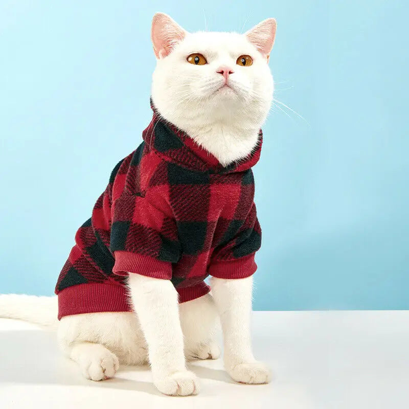 Plaid Cat Sweater