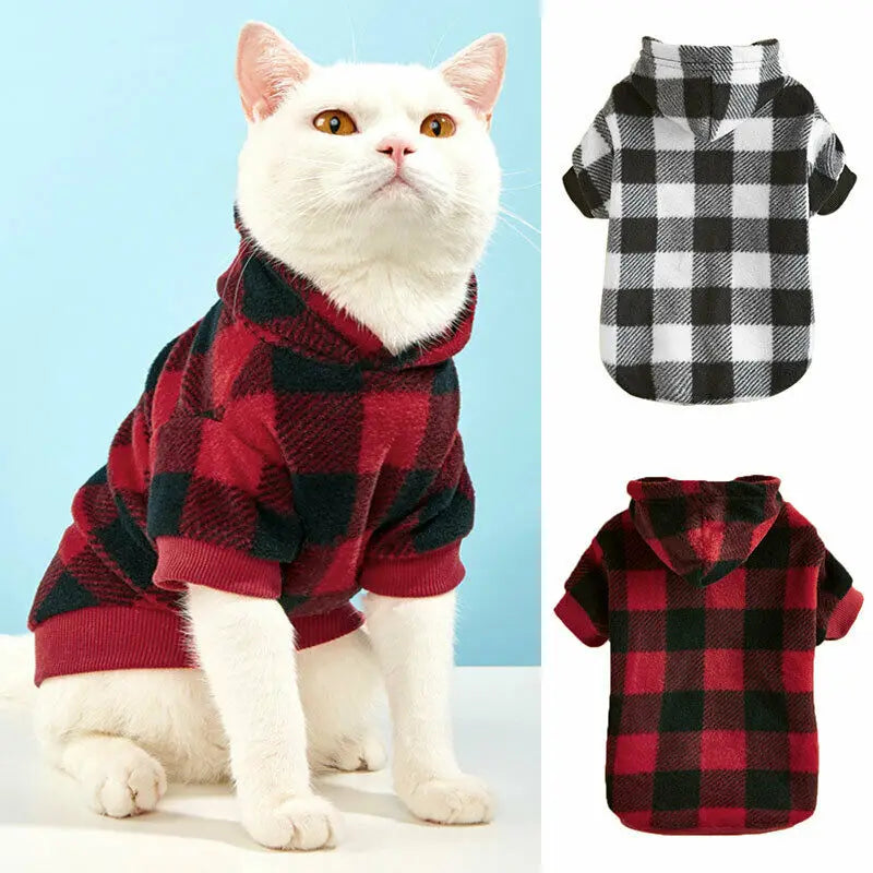 Plaid Cat Sweater