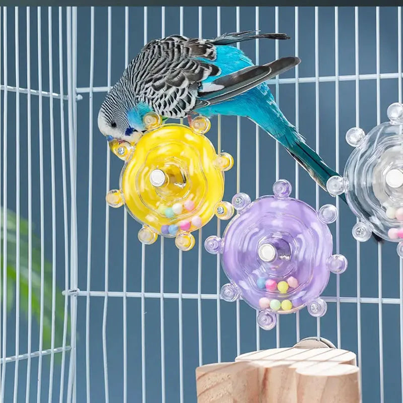 Interactive Bird Cage Toy