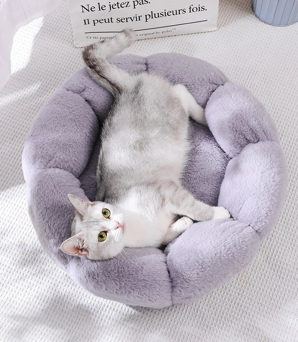 Flower Soft Cat or Small Dog Bed