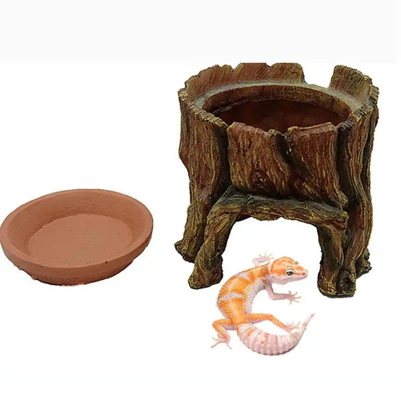 Reptile Cave, Feeding Habitat, Shelter