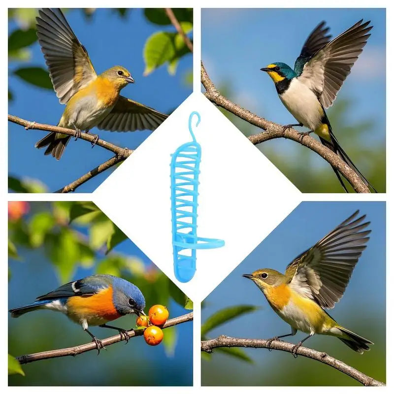 Bird Cage Hollow Basket Food Holder