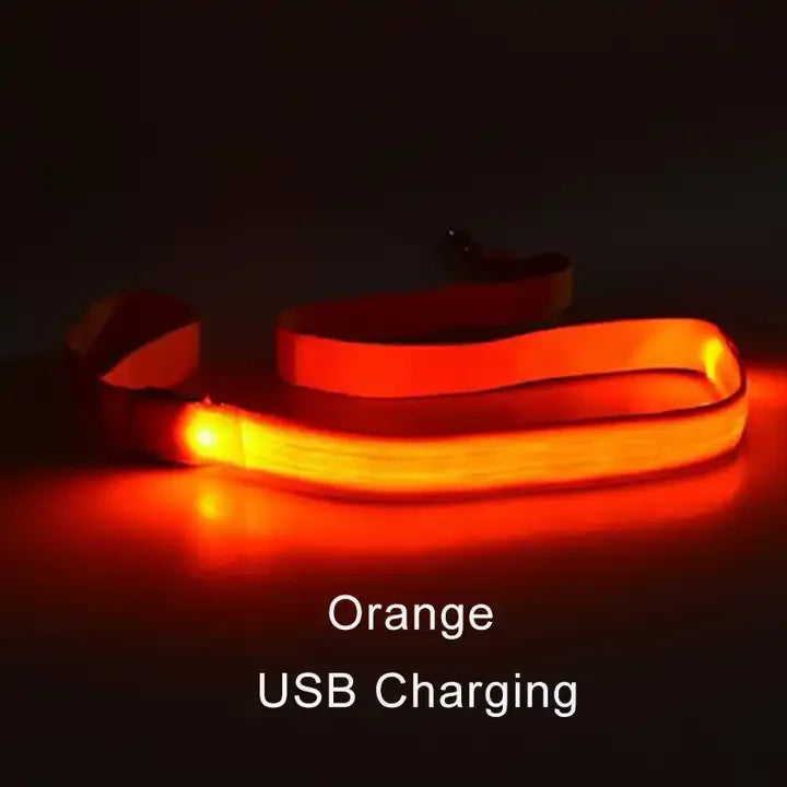 LED Light Up Dog Leash and Collar