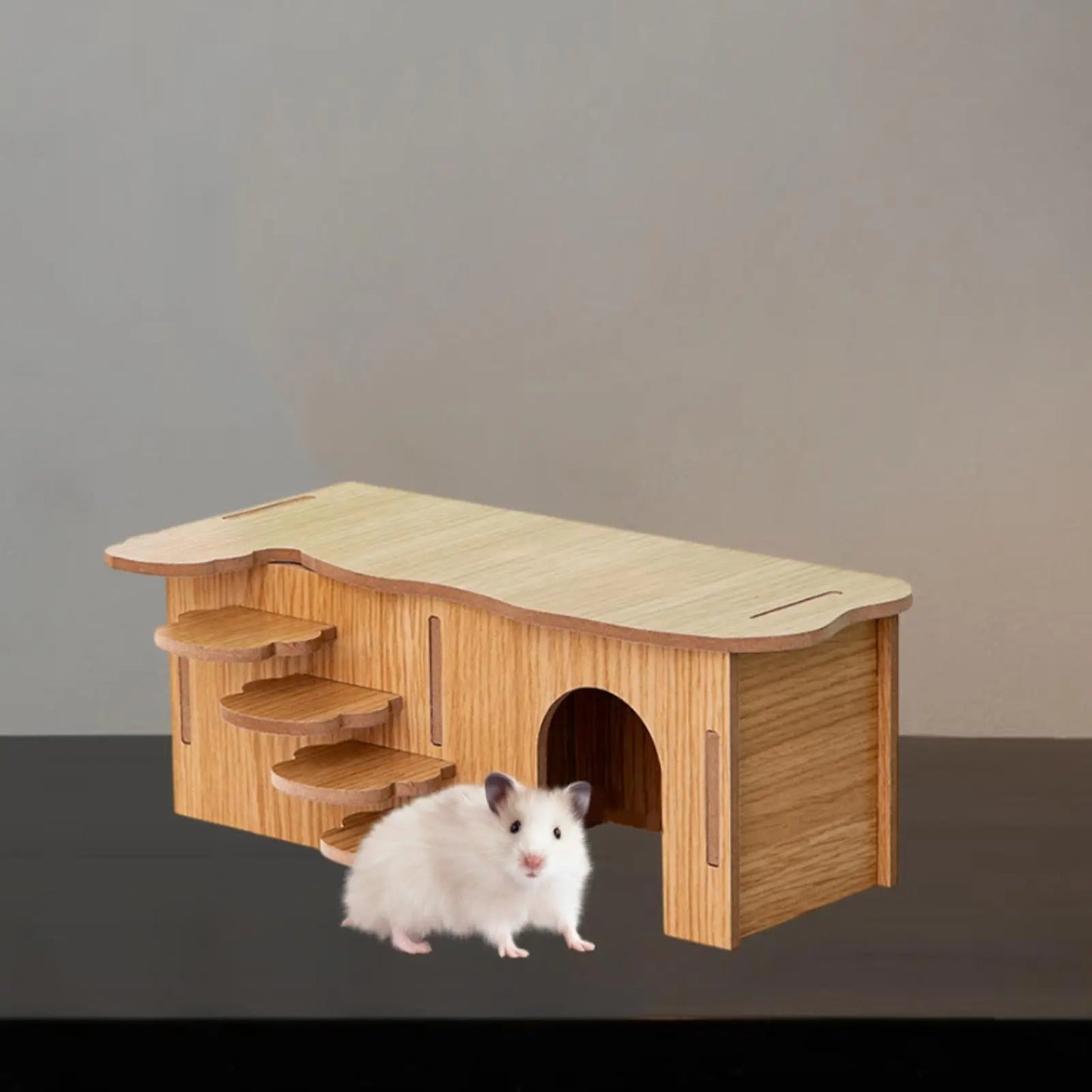 Hamster Wooden House With Climbing Ladder