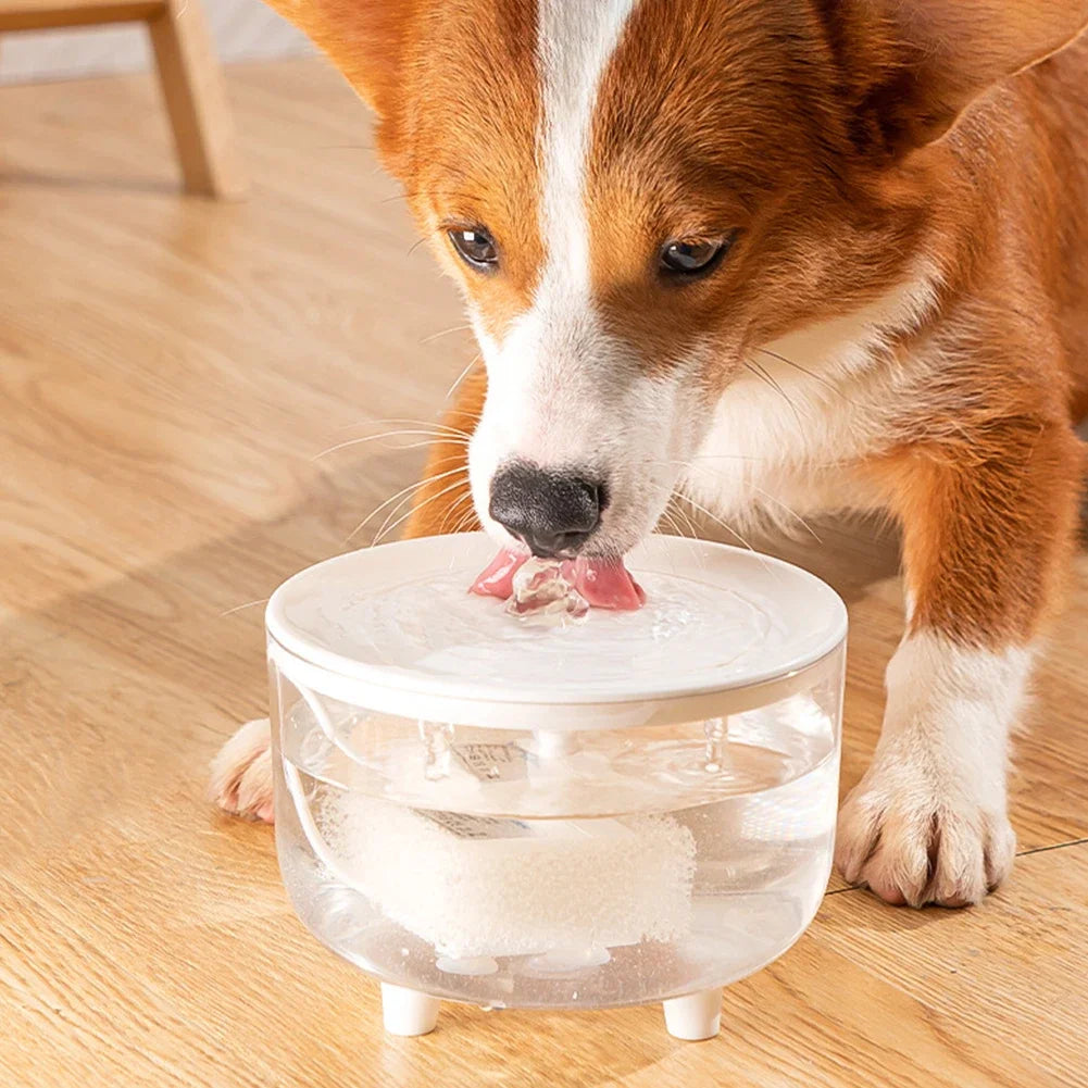 Automatic Pet Water Fountain Dispenser