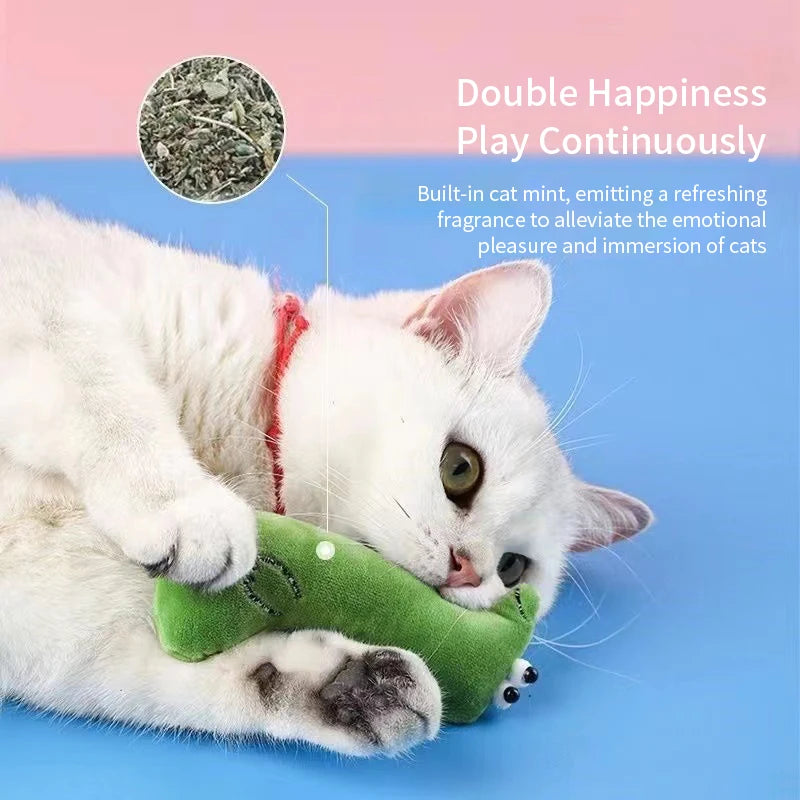 Catnip Toys