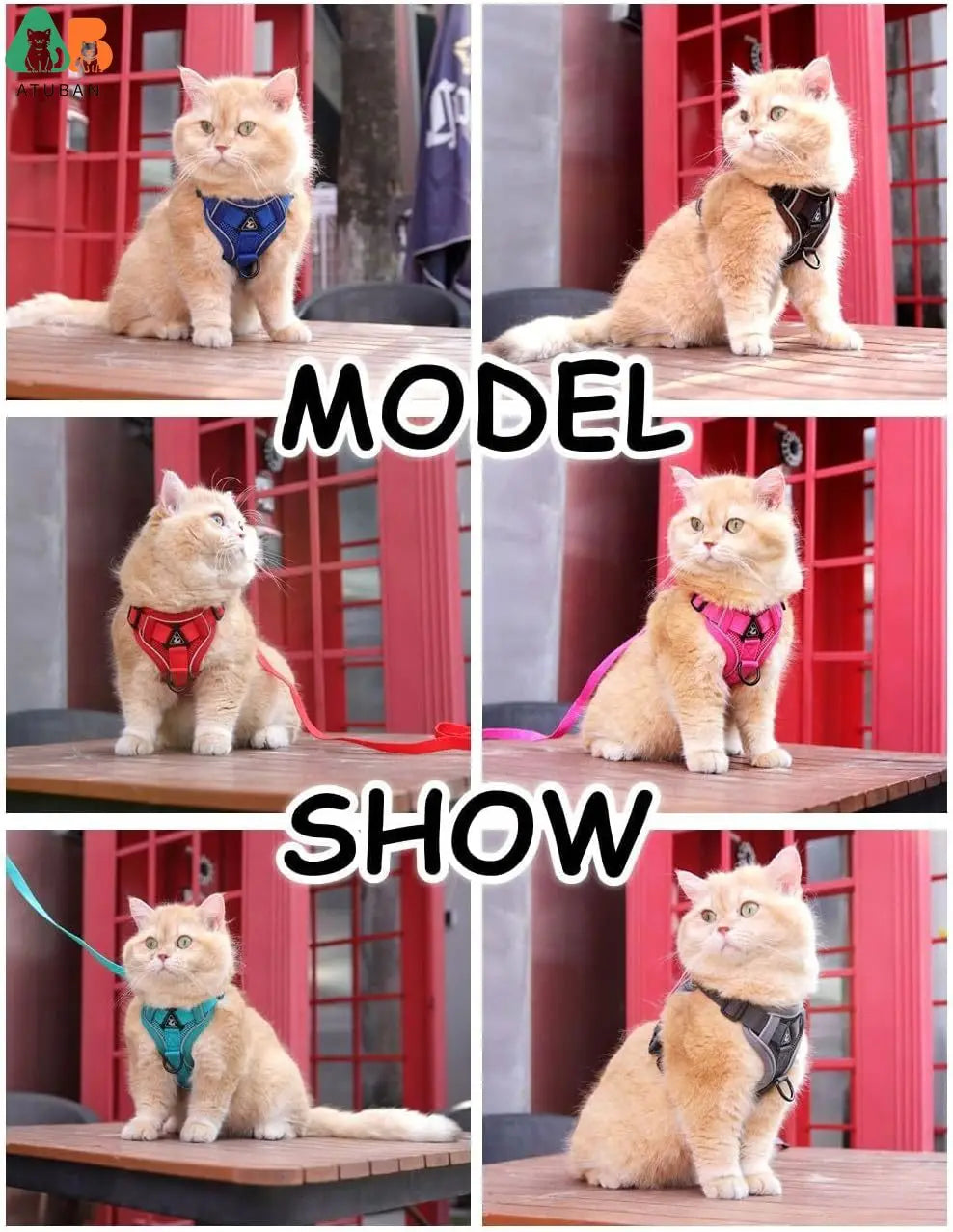 Adjustable Cat Harness /Leash Set with Reflective Trim