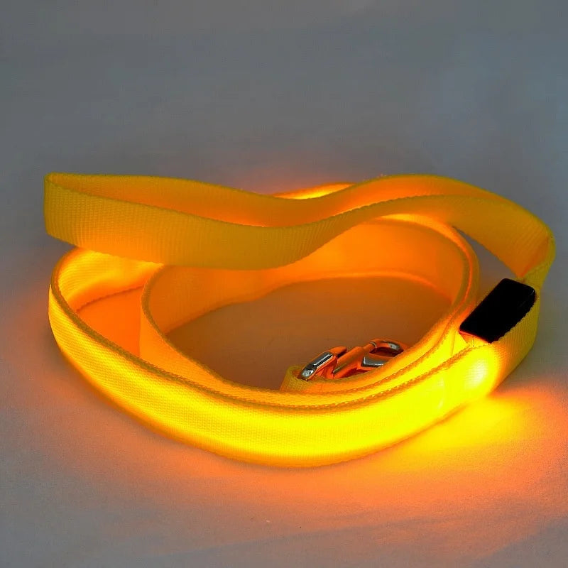 LED Light Up Dog Leash and Collar