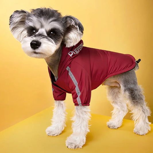 Winter Dog Clothing, Hooded