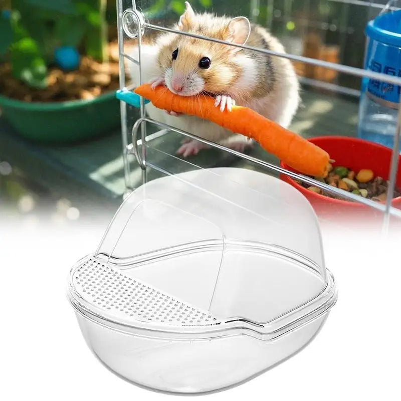 Gerbil Sand Box