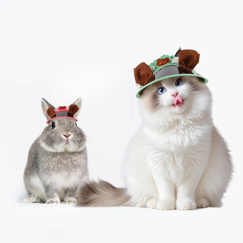 Pet Hat With Ear Holes and Visor