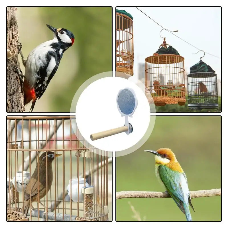 Bird Cage Mirror With Standing Stick