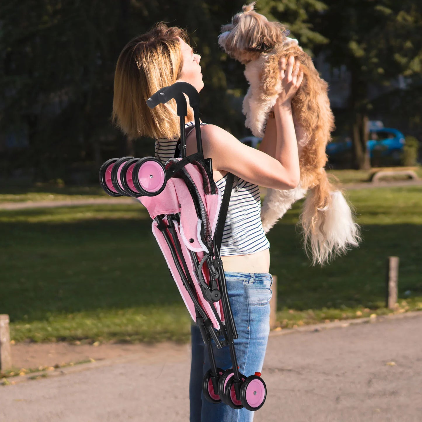 Pet Stroller with Brakes