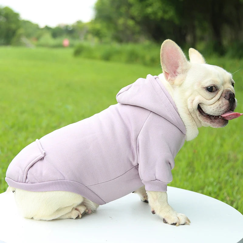 Dog Clothing, Two-Feet Hooded Sweater