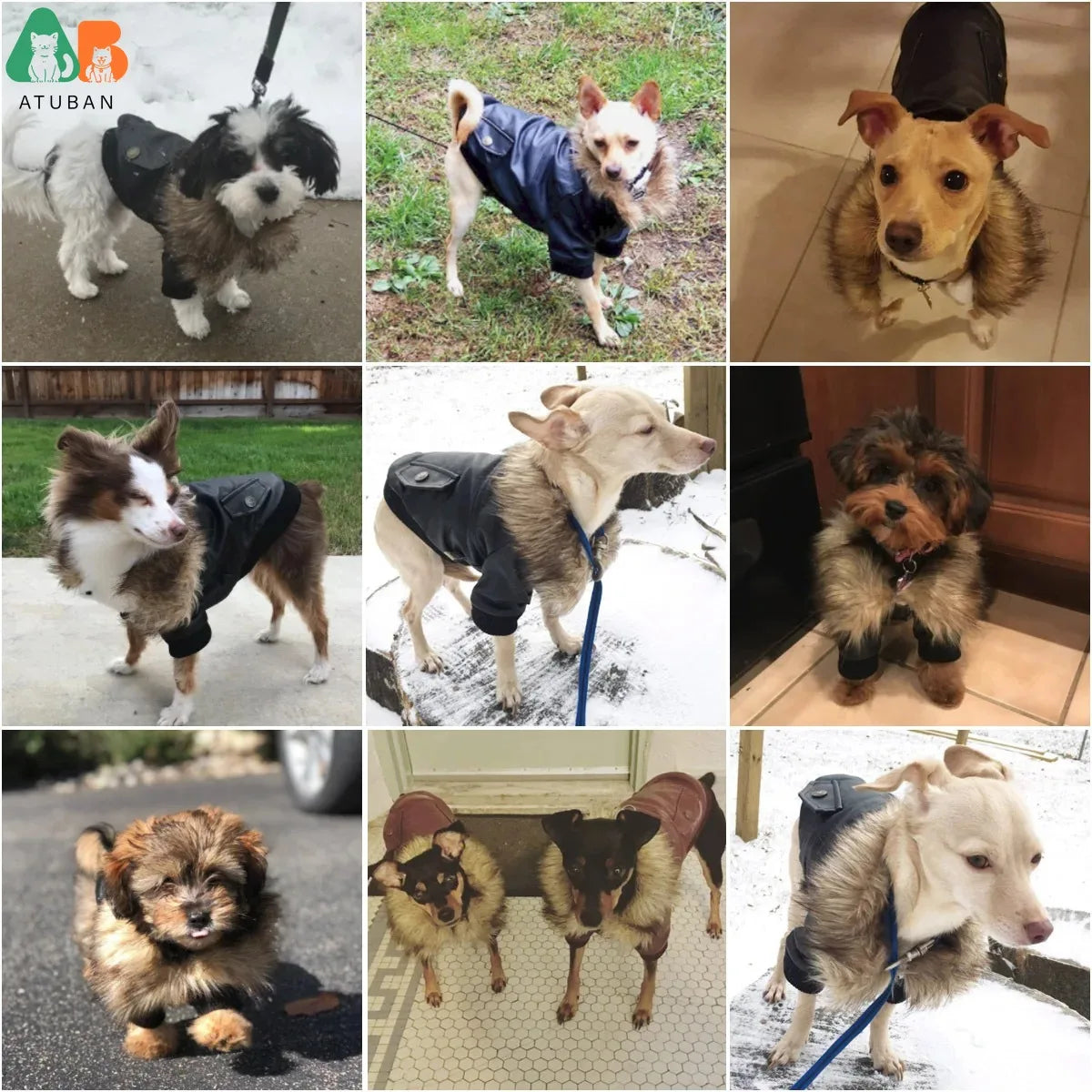 ATUBAN Leather Dog Coats Waterproof Dog Winter Coat Puppy Jackets for Small to Medium Dogs clothes for pets dog clothes winter