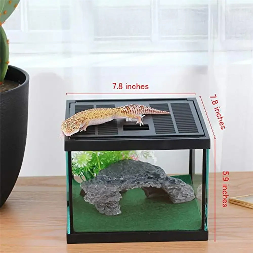 Reptile Glass Terrarium Enclosure