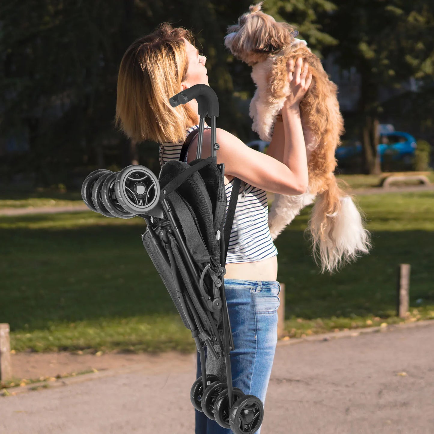 Pet Stroller with Brakes