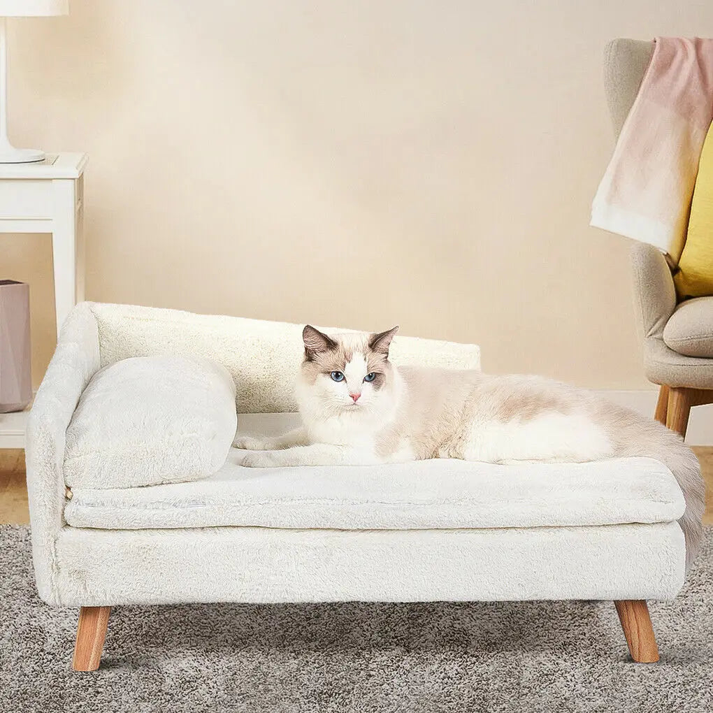 Raised Plush Indoor Cat/Dog Sofa