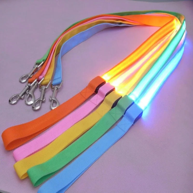 LED Light Up Dog Leash and Collar