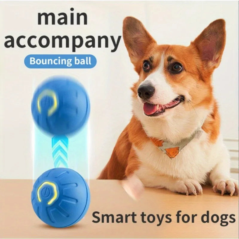Intelligent Jumping Ball Cat and Dog Toy