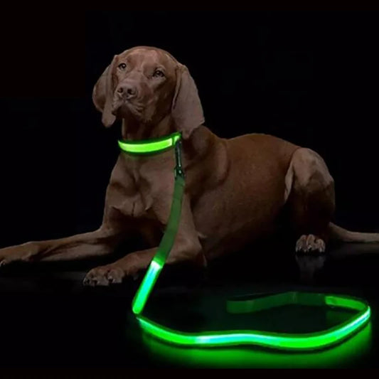LED Light Up Dog Leash and Collar