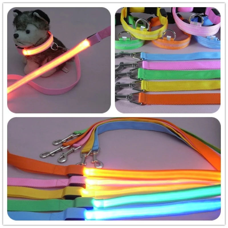 LED Light Up Dog Leash and Collar