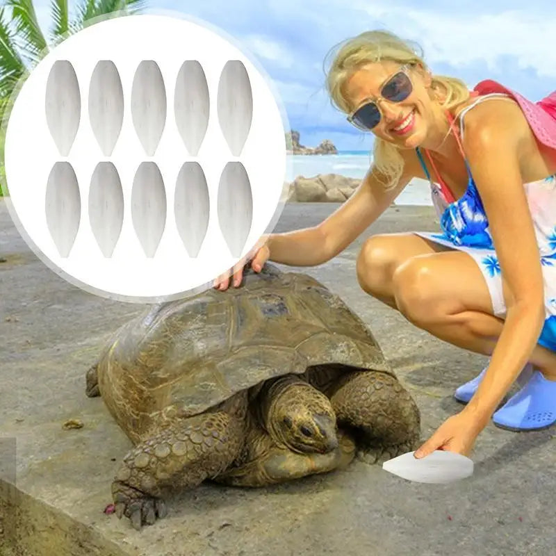 Bird Cuttlebone 10pcs