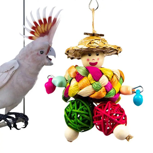 Multicolored Bird Chewing Toy