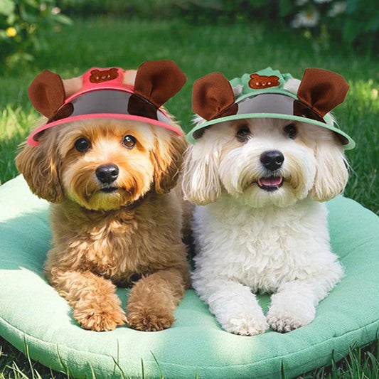 Pet Hat With Ear Holes and Visor
