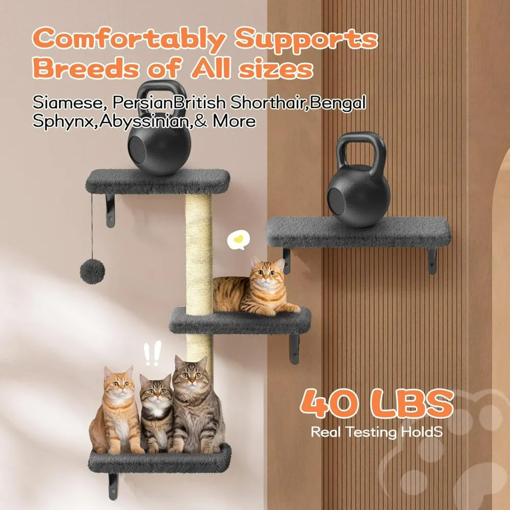 Cat Wall Shelves Set