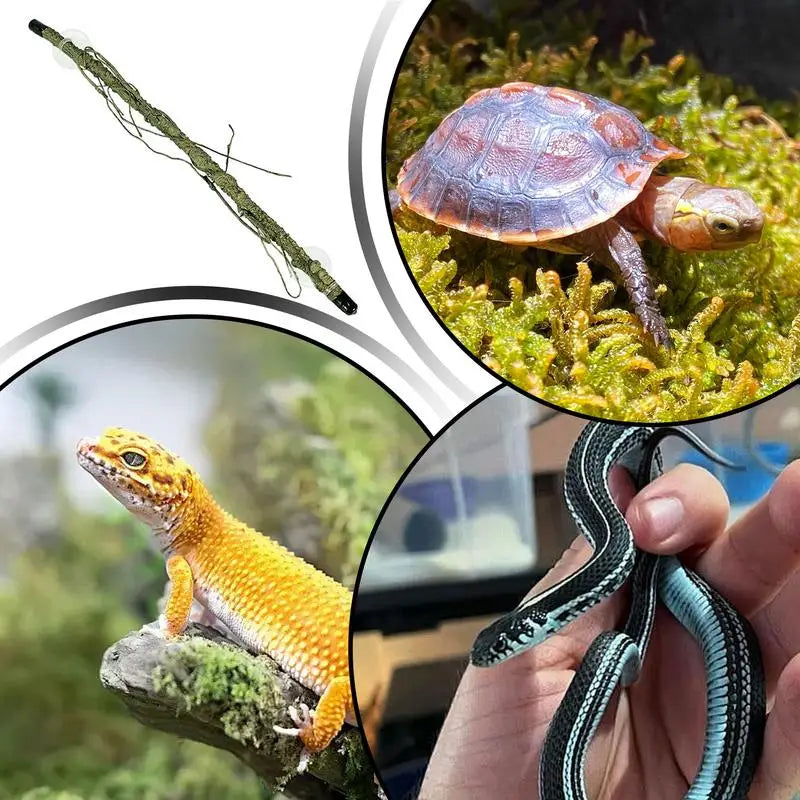 Climbing Branch For Terrarium, With Suction Cup