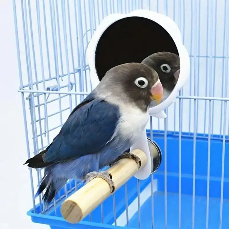 Bird Cage Mirror With Standing Stick