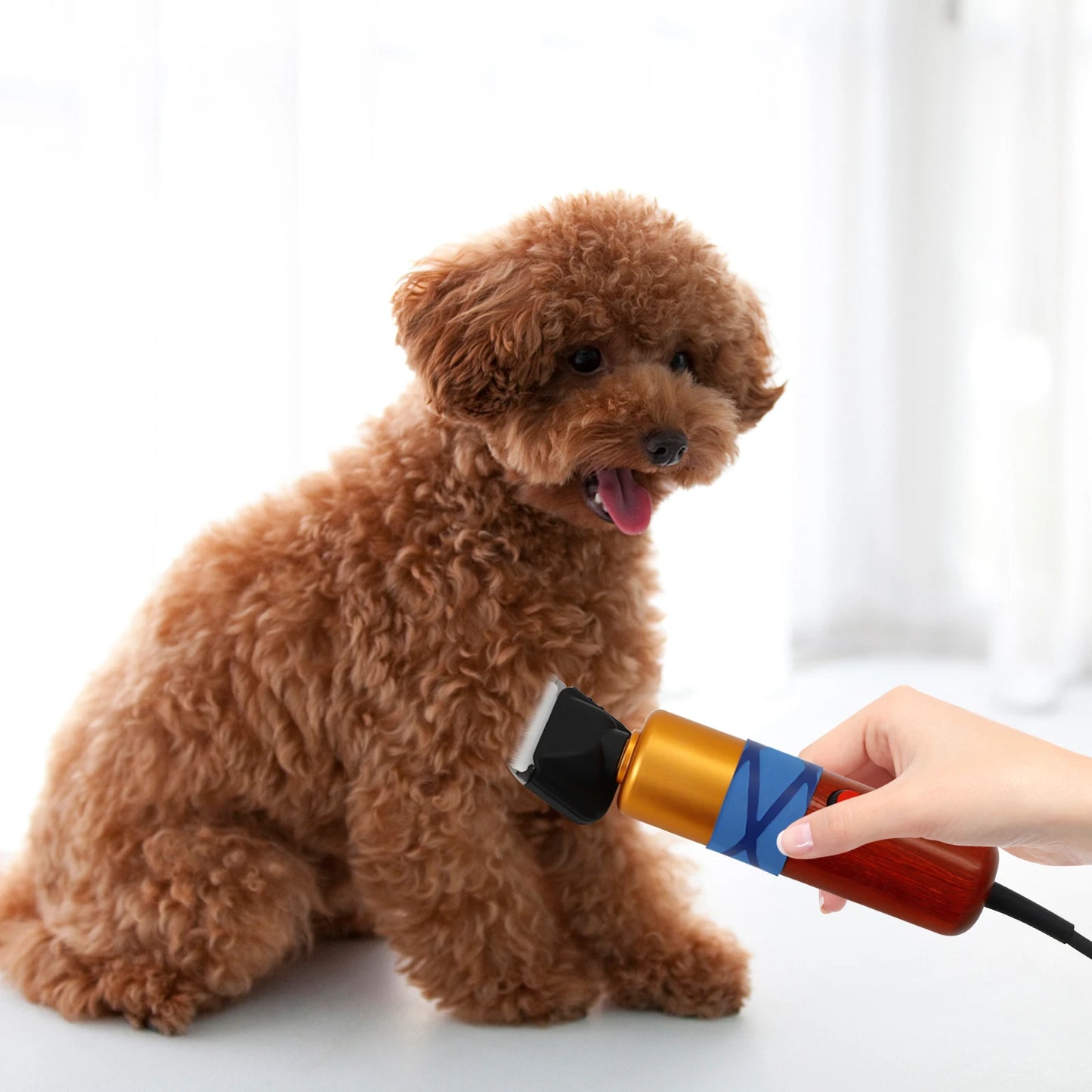 Electric Pet Clippers