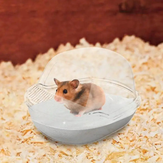 Gerbil Sand Box