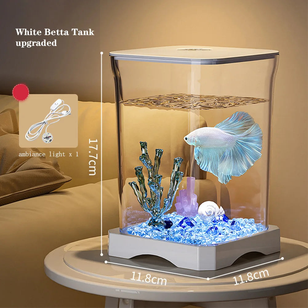 Aquarium Starter Kit