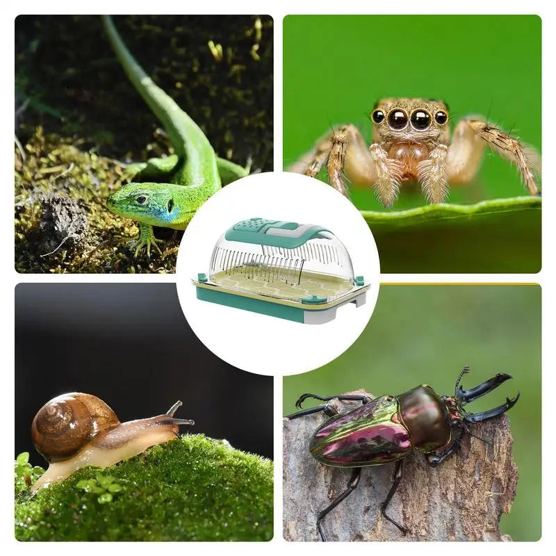 Portable,  Breathable Reptile Cage