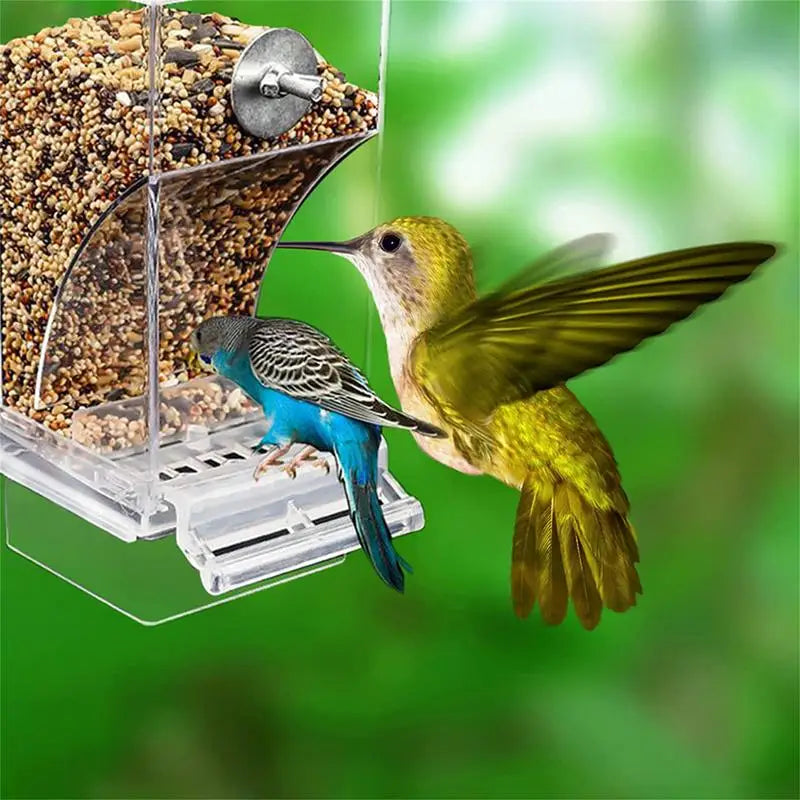 Acrylic Bird Feeders Anti Spill Automatic Parrot Feeder Drinker TransparentParakeet Feeders For Bird Cage Cage Accessories