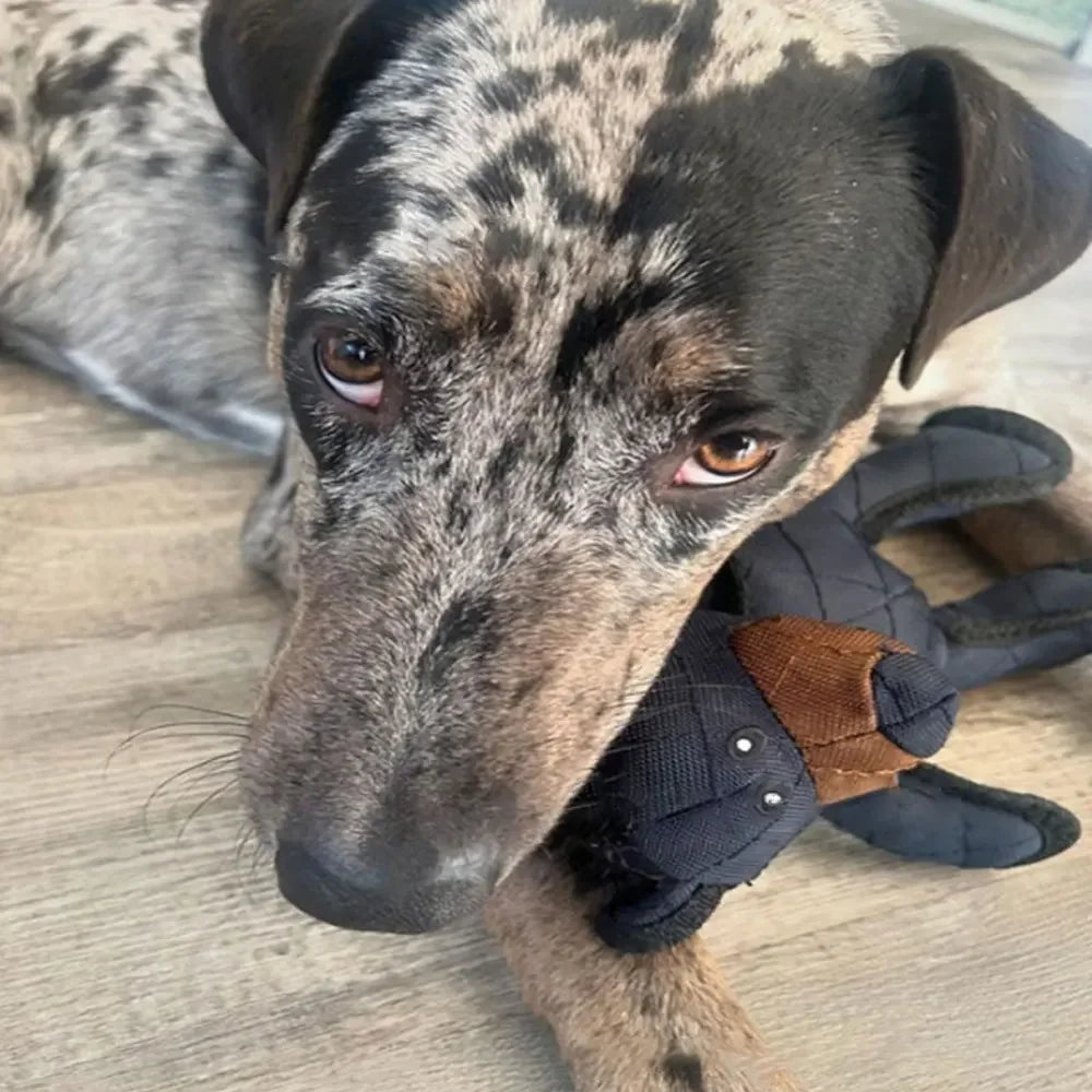 Indestructible Bear Chewable Dog Toy