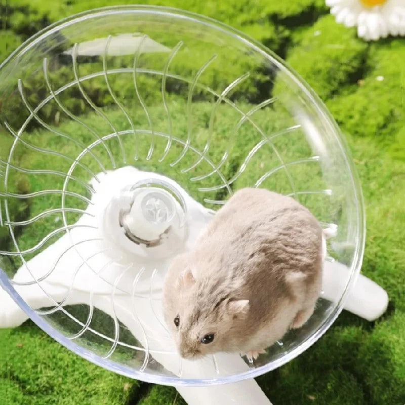 Pet Hamster Running Wheel