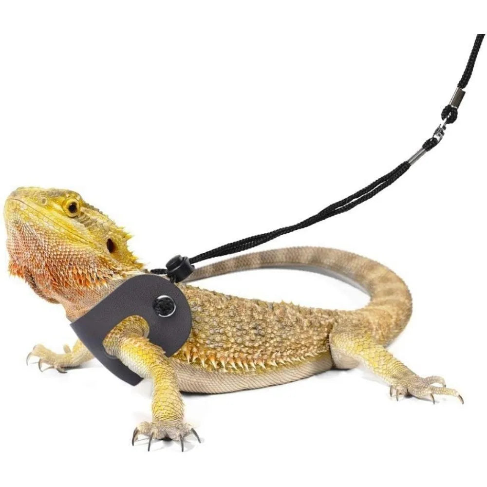 Leash for Amphibians and Other Small Reptiles