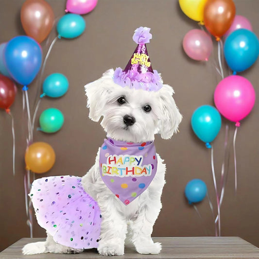 Pet Birthday Costume Set